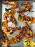 Nieociosany piri-piri piec na grillu krewetka obrazy stock Nieociosany piri-piri piec na grillu krewetka obrazy stock