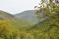 Nieskazitelna natura zdjęcia stock Nieskazitelna natura zdjęcia stock