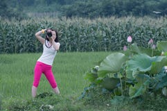 Photographer in working. Beauatiful Lotus flowers with each colours blooming everywhere and a nifty female photographer working in rice fields royalty free stock photo Photographer in working. Beauatiful Lotus flowers with each colours blooming everywhere and a nifty female photographer working in rice fields royalty free stock photo