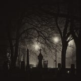 Foggy night, cementary area by the Nidarosdomen cathedral in Trondheim town royalty free stock photo Foggy night, cementary area by the Nidarosdomen cathedral in Trondheim town royalty free stock photo