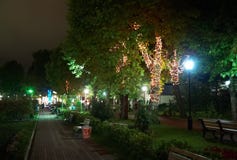 Night Illumination In Park Riviera , Sochi City Royalty Free Stock Photography Night Illumination In Park Riviera , Sochi City Royalty Free Stock Photography