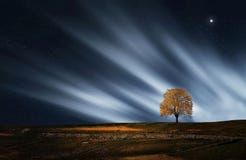 Night skies over rural landscape Royalty Free Stock Image Night skies over rural landscape Royalty Free Stock Image
