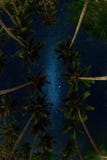 Milky way in tropics. royalty free stock images Milky way in tropics. royalty free stock images
