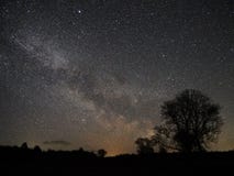 Night sky stars and milky way star observing over tree