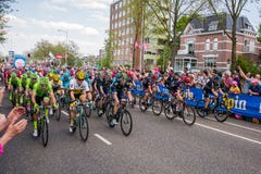 Nijmegen, Κάτω Χώρες στις 7 Μαΐου 2016 Επαγγελματικοί ποδηλάτες πριν από την ορμή στοκ εικόνα Nijmegen, Κάτω Χώρες στις 7 Μαΐου 2016 Επαγγελματικοί ποδηλάτες πριν από την ορμή στοκ εικόνα