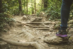Nike Walking Mountain Adventure, het Nationale Park van Ramkhamhaeng van Thailand royalty-vrije stock fotografie Nike Walking Mountain Adventure, het Nationale Park van Ramkhamhaeng van Thailand royalty-vrije stock fotografie