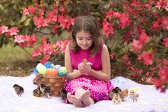 Niña con la cesta de pascua que juega con los polluelos Imagenes de archivo Niña con la cesta de pascua que juega con los polluelos Imagenes de archivo