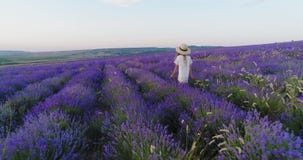Niña en paseos de un sombrero de paja el campo de la lavanda en la cámara lenta almacen de metraje de vídeo Niña en paseos de un sombrero de paja el campo de la lavanda en la cámara lenta almacen de metraje de vídeo