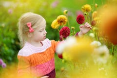 Niña linda que juega en campo floreciente de la dalia Niño que escoge las flores frescas en prado de la dalia en día de verano so Foto de archivo Niña linda que juega en campo floreciente de la dalia Niño que escoge las flores frescas en prado de la dalia en día de verano so Foto de archivo