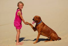 Niña que sacude la pata del perro Niña que sacude la pata del perro