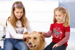Niñas que frotan ligeramente la sonrisa del perro foto de archivo libre de regalías Niñas que frotan ligeramente la sonrisa del perro foto de archivo libre de regalías