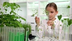 Niño en el laboratorio de química, clase de Biología cada vez mayor de las plantas del almácigo de la ciencia de la escuela metrajes Niño en el laboratorio de química, clase de Biología cada vez mayor de las plantas del almácigo de la ciencia de la escuela metrajes