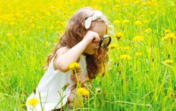 Niño que mira a través de la lupa en las flores del diente de león imagenes de archivo Niño que mira a través de la lupa en las flores del diente de león imagenes de archivo