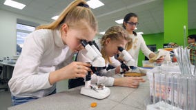 Niños en la clase de Biología que aprende sobre insectos usando el microscopio almacen de metraje de vídeo Niños en la clase de Biología que aprende sobre insectos usando el microscopio almacen de metraje de vídeo