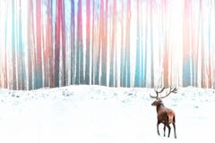 Noble red deer against a winter fantasy colorful forest. Winter Christmas image royalty free stock images Noble red deer against a winter fantasy colorful forest. Winter Christmas image royalty free stock images