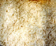 Noce di cocco allineata fotografia stock libera da diritti Noce di cocco allineata fotografia stock libera da diritti