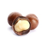 Noci di macadamia isolate su fondo bianco immagini stock libere da diritti Noci di macadamia isolate su fondo bianco immagini stock libere da diritti