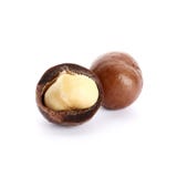 Noci di macadamia isolate su fondo bianco immagine stock libera da diritti Noci di macadamia isolate su fondo bianco immagine stock libera da diritti