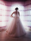Noiva no vestido inchado imagens de stock royalty free Noiva no vestido inchado imagens de stock royalty free