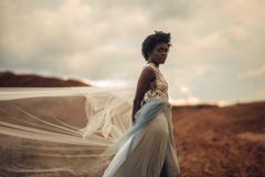 A noiva preta em acenar o vestido de casamento longo e o véu nupcial está no fundo da paisagem bonita fotografia de stock A noiva preta em acenar o vestido de casamento longo e o véu nupcial está no fundo da paisagem bonita fotografia de stock