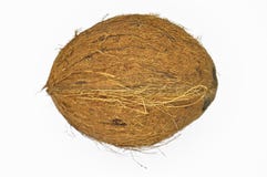 Noix de coco exotique de fruit avec la surface brune photos stock Noix de coco exotique de fruit avec la surface brune photos stock