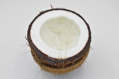 Noix de coco exotique de fruit avec la surface brune Fibre, cercle photographie stock libre de droits Noix de coco exotique de fruit avec la surface brune Fibre, cercle photographie stock libre de droits