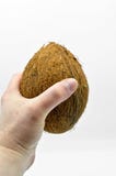Noix de coco exotique de fruit avec la surface brune Gastronomie, mangeant photos stock Noix de coco exotique de fruit avec la surface brune Gastronomie, mangeant photos stock