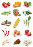 Noix et esp?ces de l?gumes illustration libre de droits Noix et esp?ces de l?gumes illustration libre de droits