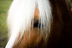Non segue il modo, lui crea! fotografie stock libere da diritti Non segue il modo, lui crea! fotografie stock libere da diritti
