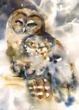 Noordelijke Owl Bird Watercolor Winter Illustration-Geschilderde Hand Royalty-vrije Stock Fotografie Noordelijke Owl Bird Watercolor Winter Illustration-Geschilderde Hand Royalty-vrije Stock Fotografie