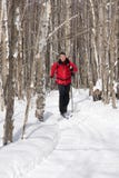 Nordischer Skifahrer