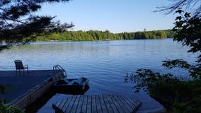 Norr - amerikansk stugaskeppsdocka i sommar arkivfoto Norr - amerikansk stugaskeppsdocka i sommar arkivfoto