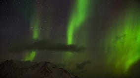 Northern Lights on the Arctic sky - Spitsbergen, Svalbard