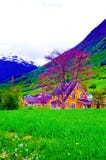 Norway Mountain Valley and Beautiful Yellow Cottage, Country House stock images Norway Mountain Valley and Beautiful Yellow Cottage, Country House stock images