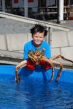 Norwegian Youthful Fisher With An Alive King Crab Stock Photography