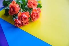 Nostálgico amarillo y anaranjado Eden Rose Rosas anaranjadas en fondo colorido del arco iris Copie el espacio Postal de los salud foto de archivo libre de regalías Nostálgico amarillo y anaranjado Eden Rose Rosas anaranjadas en fondo colorido del arco iris Copie el espacio Postal de los salud foto de archivo libre de regalías