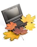 Notebook And Autumn Leaves Royalty Free Stock Photo Notebook And Autumn Leaves Royalty Free Stock Photo