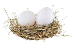 Notgroschen lokalisiert auf Weiß stockfotos Notgroschen lokalisiert auf Weiß stockfotos