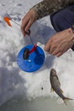 Nous avons mis une canne à pêche pour la pêche d'hiver photographie stock Nous avons mis une canne à pêche pour la pêche d'hiver photographie stock