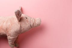 Nouvelle ann?e du porc sur le calendrier chinois image stock Nouvelle ann?e du porc sur le calendrier chinois image stock