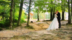 Novia y novio Pares que caminan en el bosque almacen de metraje de vídeo Novia y novio Pares que caminan en el bosque almacen de metraje de vídeo