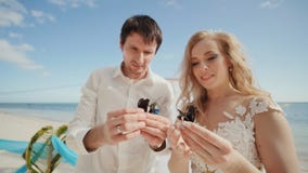 Nowożeńcy fornal i panna młoda w ich rękach, wpólnie są pięknie malującymi motylami Magiczny i bajecznie zdjęcie wideo Nowożeńcy fornal i panna młoda w ich rękach, wpólnie są pięknie malującymi motylami Magiczny i bajecznie zdjęcie wideo