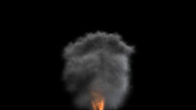 Nuclear explosion high resolution render,frame freezing, stock footage