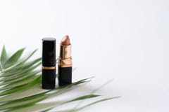 Nudité lipstic sur la vue supérieure de fond blanc Cosmétiques photographie stock Nudité lipstic sur la vue supérieure de fond blanc Cosmétiques photographie stock
