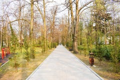Nuevo camino y pista hermosa de los ?rboles para correr o caminar y completar un ciclo para relajarse en el parque en campo de hi fotografía de archivo Nuevo camino y pista hermosa de los ?rboles para correr o caminar y completar un ciclo para relajarse en el parque en campo de hi fotografía de archivo