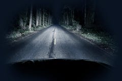 Nuit pilotant par la forêt image libre de droits Nuit pilotant par la forêt image libre de droits