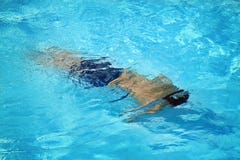 Nuoto dell'uomo nel raggruppamento Fotografia Stock Libera da Diritti Nuoto dell'uomo nel raggruppamento Fotografia Stock Libera da Diritti