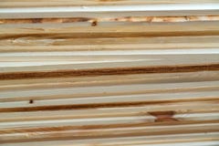 Nuova struttura di legno di alta risoluzione immagine stock Nuova struttura di legno di alta risoluzione immagine stock