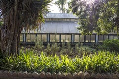 nursery στοκ εικόνες nursery στοκ εικόνες
