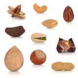Nut Collection Royalty Free Stock Photography